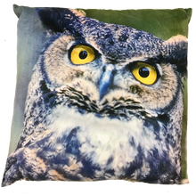 Owl cushion