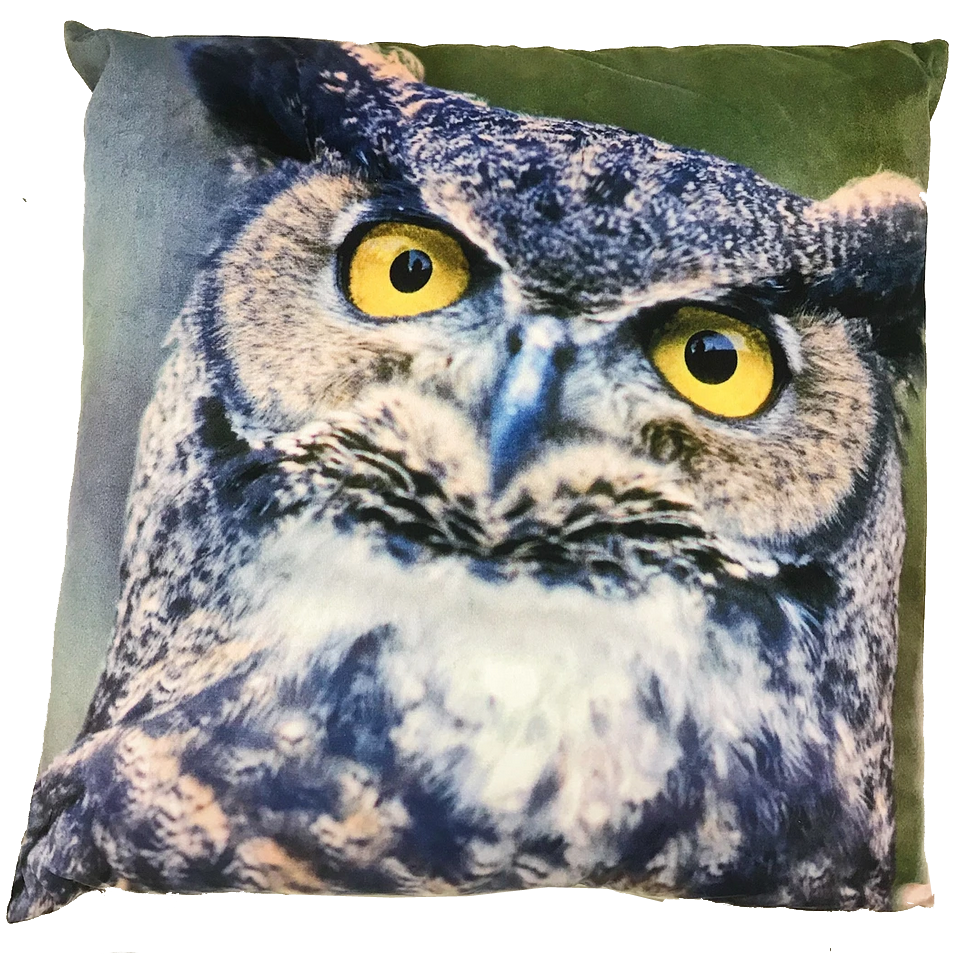 Owl cushion