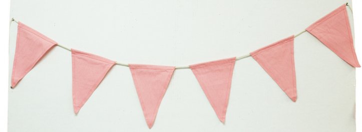 pink bunting