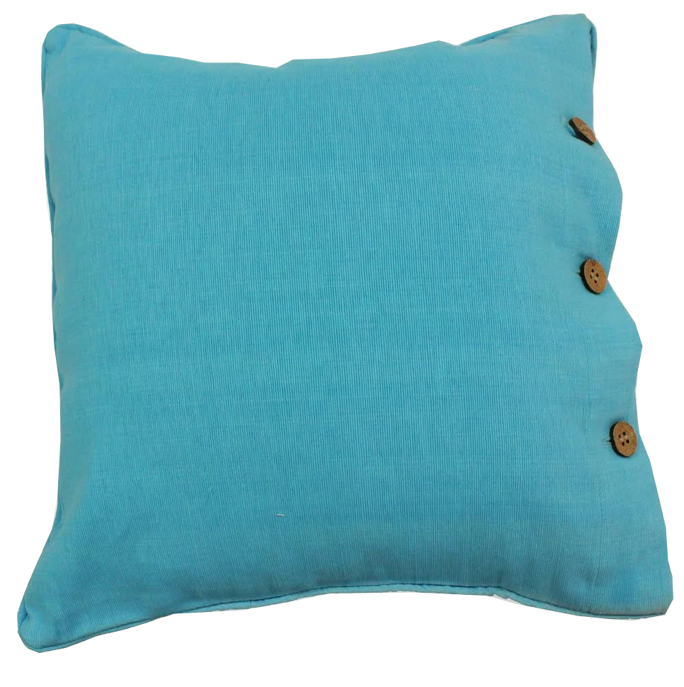 Pale Blue Cotton Cushion Cover
