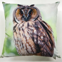 Owl cushion