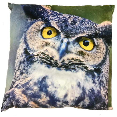 Owl cushion
